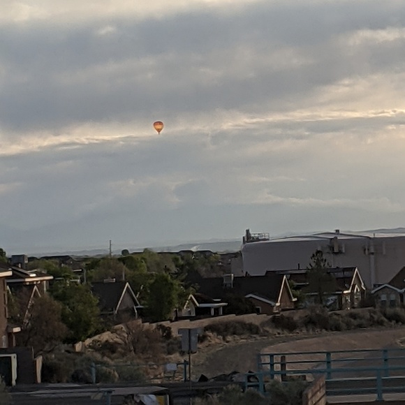 Meet your Posher, Shersti - Picture 1 of 1